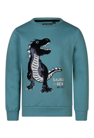 Unlocked jongens sweater Trex