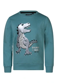 Unlocked jongens sweater Trex