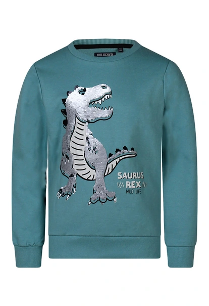 Unlocked jongens sweater Trex