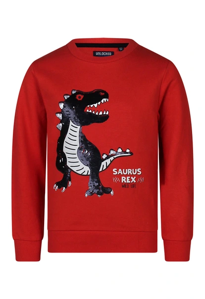 Unlocked jongens sweater Trex