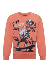 Unlocked jongens sweater