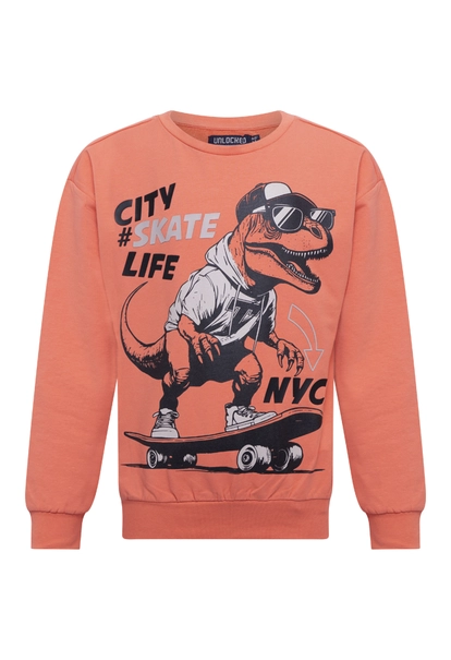 Unlocked jongens sweater