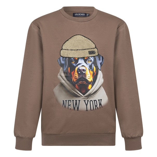 Unlocked jongens sweater
